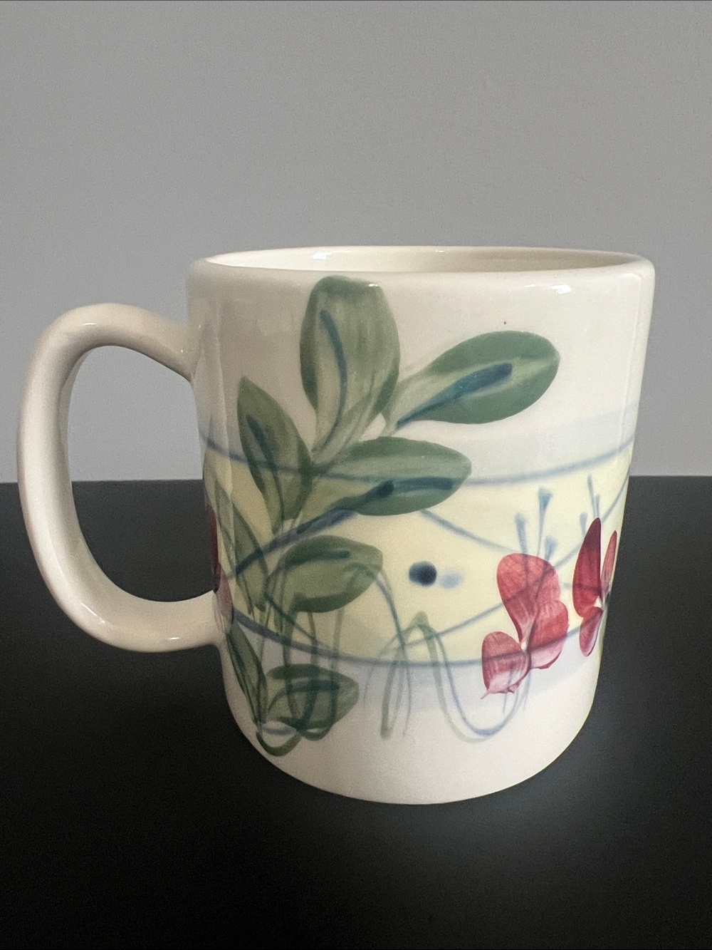 Gail Pittman Vintage 1989 Maypop Collectible Hand Painted Mug